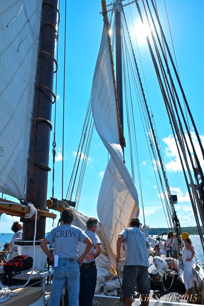 Schooner Adventure Gloucester August 5th -16 ©Kim Smith 2015
