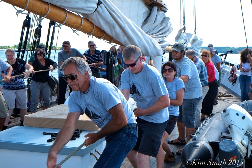 Schooner Adventure Gloucester August 5th -19 ©Kim Smith 2015