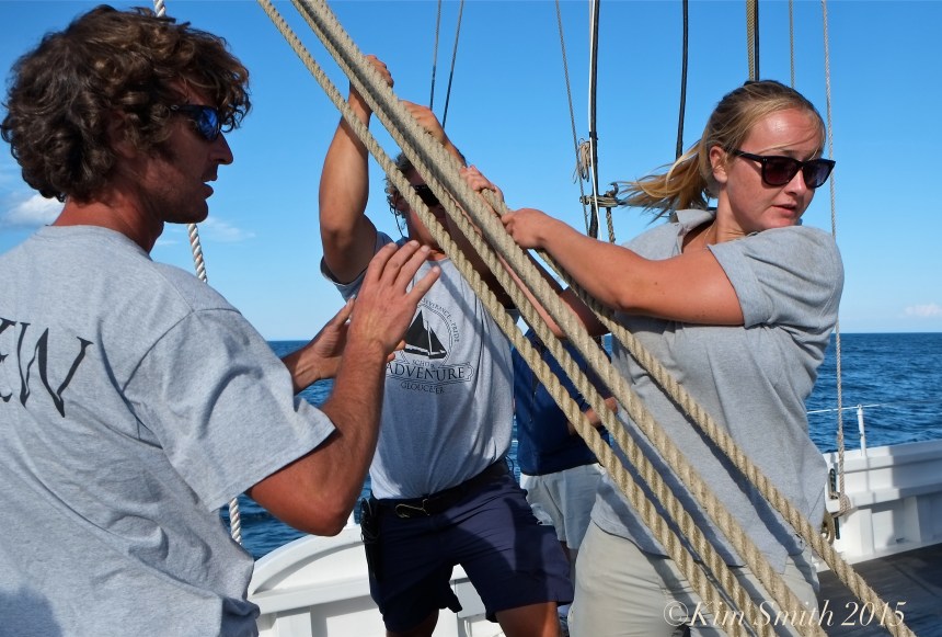 Schooner Adventure Gloucester August 5th -21 ©Kim Smith 2015