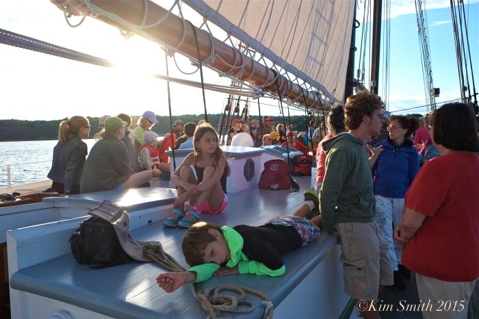 Schooner Adventure Gloucester August 5th -26 ©Kim Smith 2015