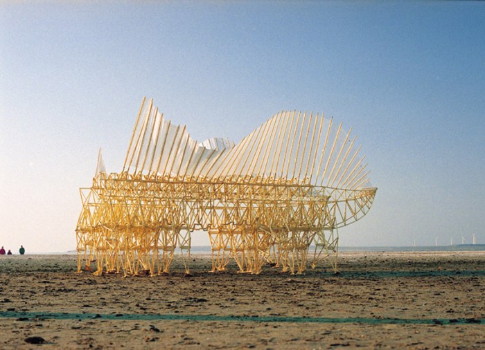 strandbeest05