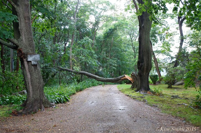 summer storm ©Kim Smith 2015