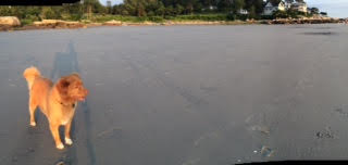 Tango Lighthouse beach sunset