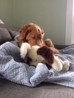 Tangos First night with Paco's girlfriend.