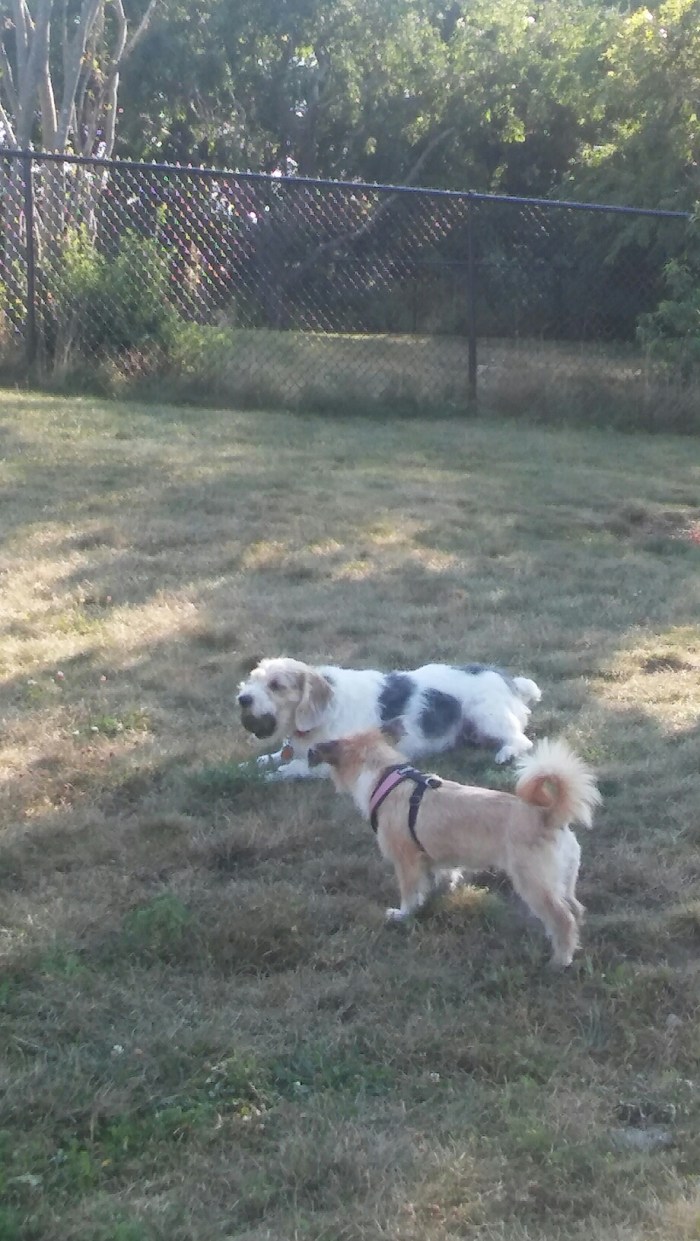 20150803_172814.jpg image