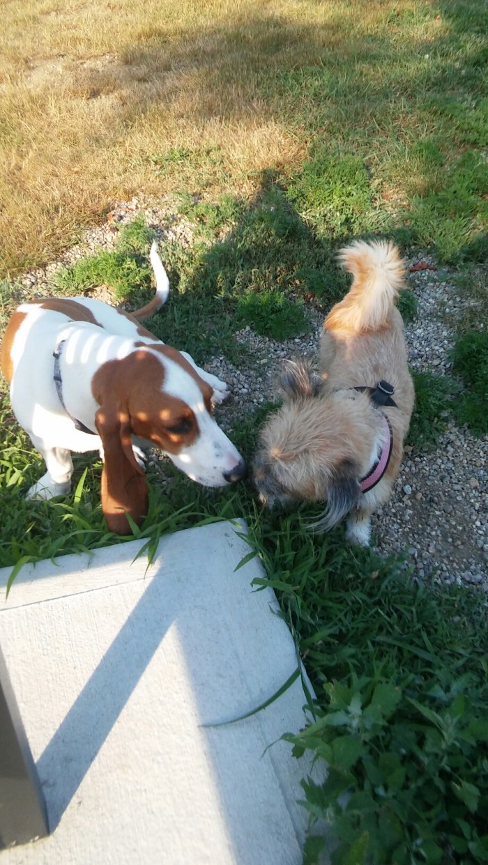 20150803_173302.jpg image