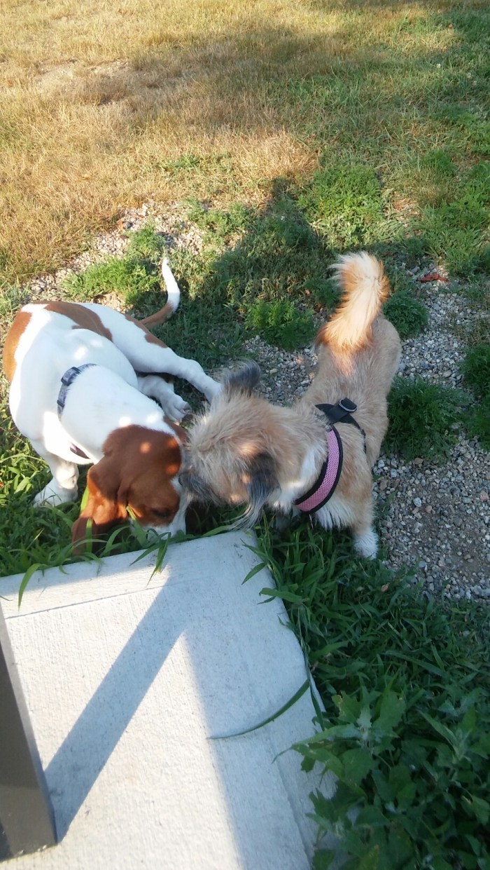 20150803_173305.jpg image