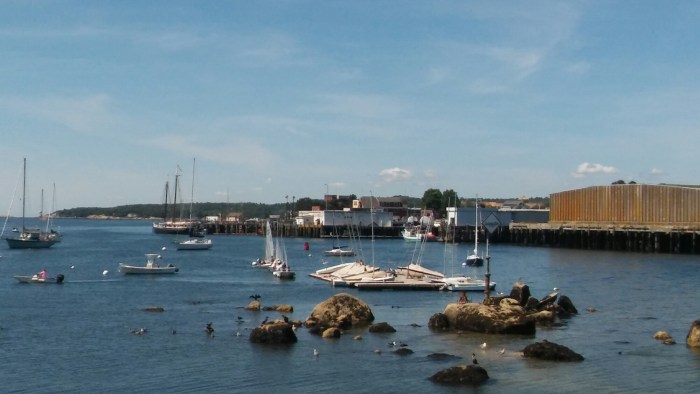 20150807_105652.jpg image