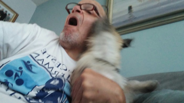 wp-1439571330789 image