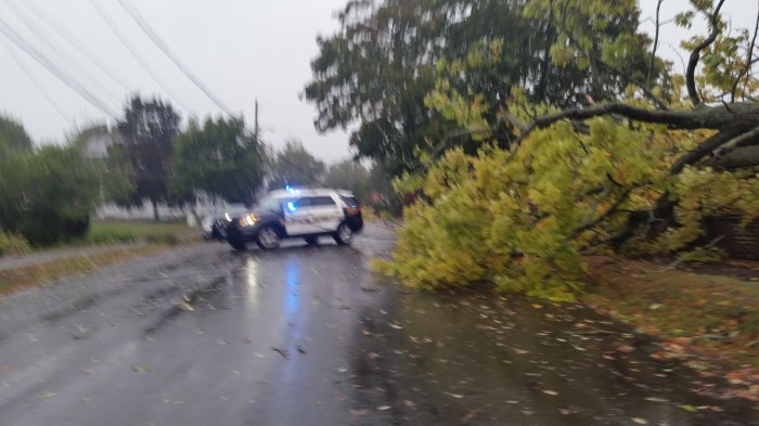 20150930_104457 tree down on Lexington Avenue