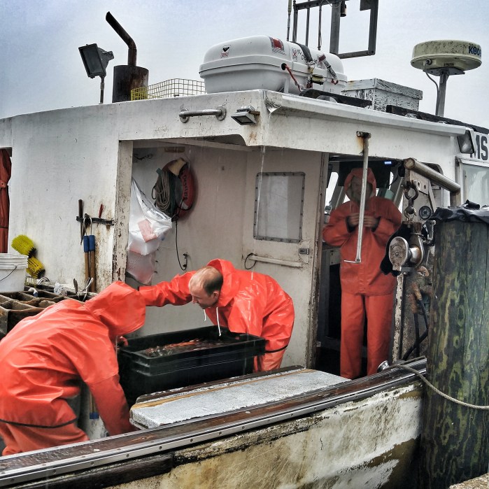 20150930_115440_HDR-01