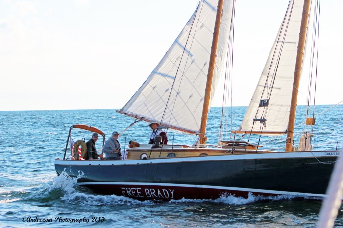 August 27, 2015 Free Brady for Al