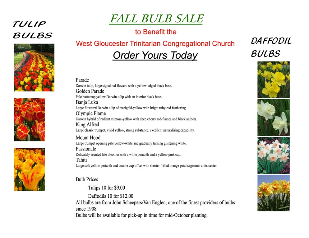 FALL BULB SALE
