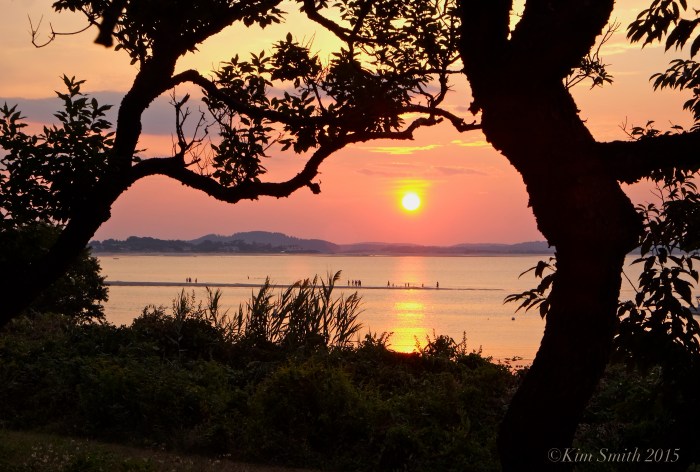 Lighthouse Beach Annisquam Wingaersheek ©Kim Smith 2015.