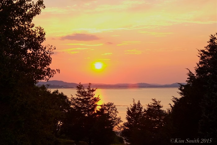 Lighthouse Beach meadow Annisquam ©Kim Smith 2015