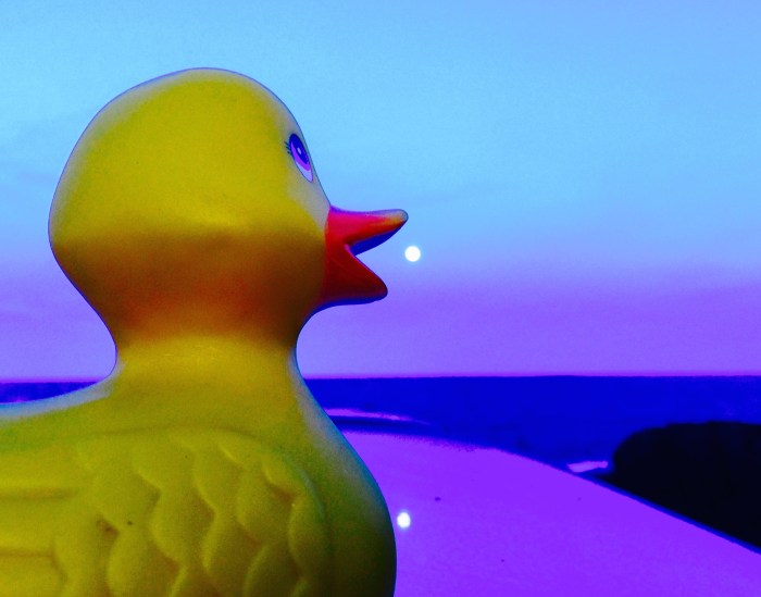 Practicing tonight for the Super Lunar Eclipse on Sunday Night!