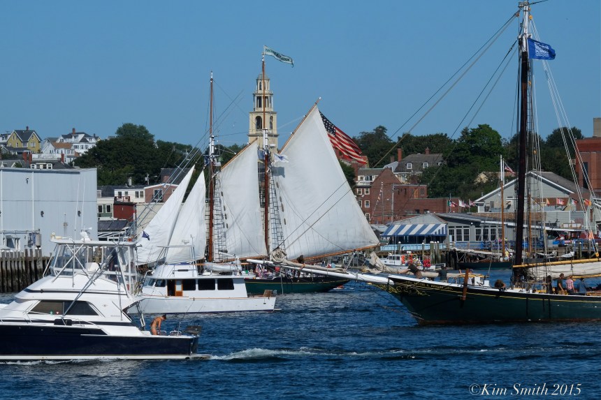 Schooner Festival Parade of Sails Gloucester ©Kim Smith 2015