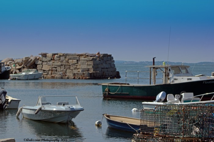 September 1, 2015 Lane's Cove