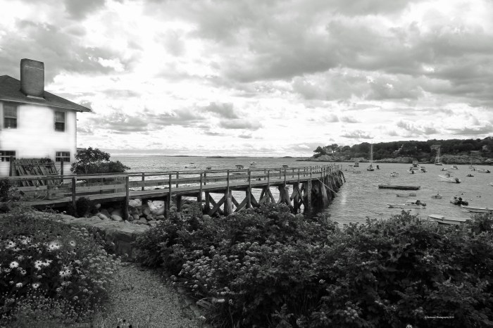 September 14, 2015 black and white magnolia pier