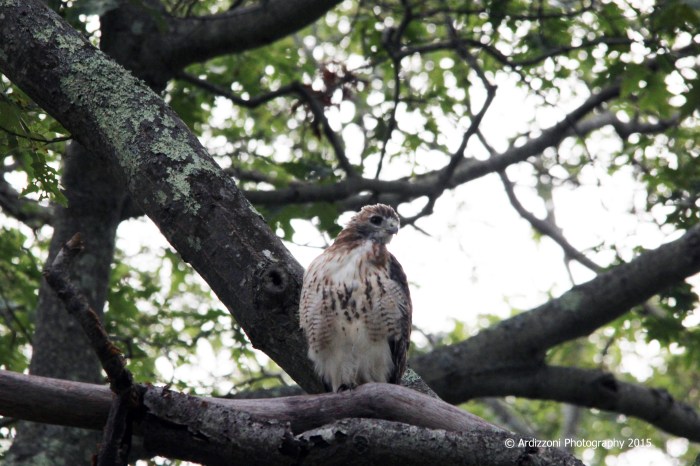 September 22, 2015 looking for breakfast