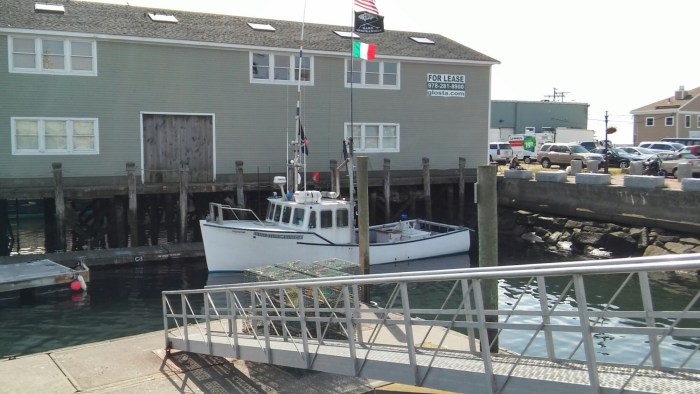 wp-1443199006569 image