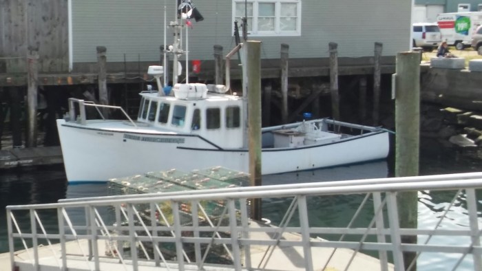 wp-1443199052118 image