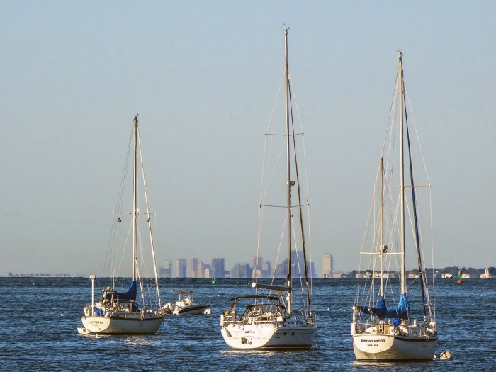 boston skyline with sailboats