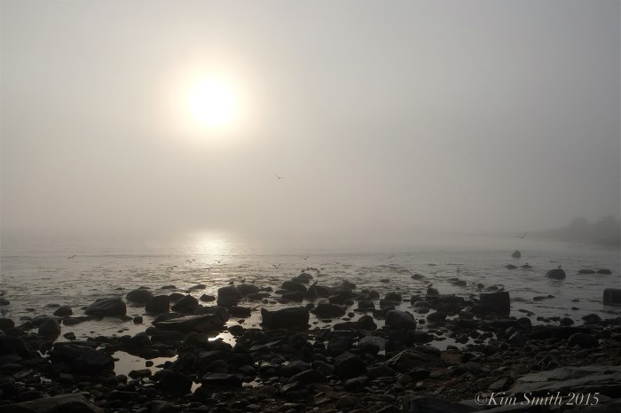 Brace Cove fog Gloucester MA ©Kim Smith 2015JPG