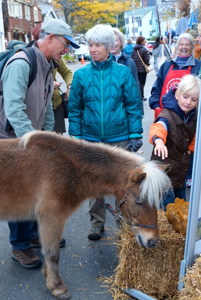 Eric Hutchins Rockport Harvestfest ©Kim Smith 2015