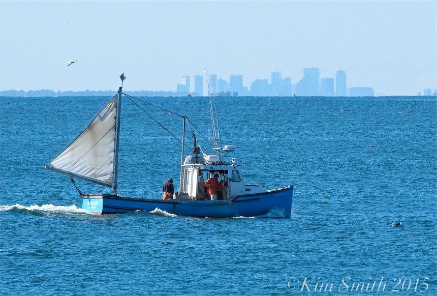 Fishing boat with sail ©Kim Smith 2015