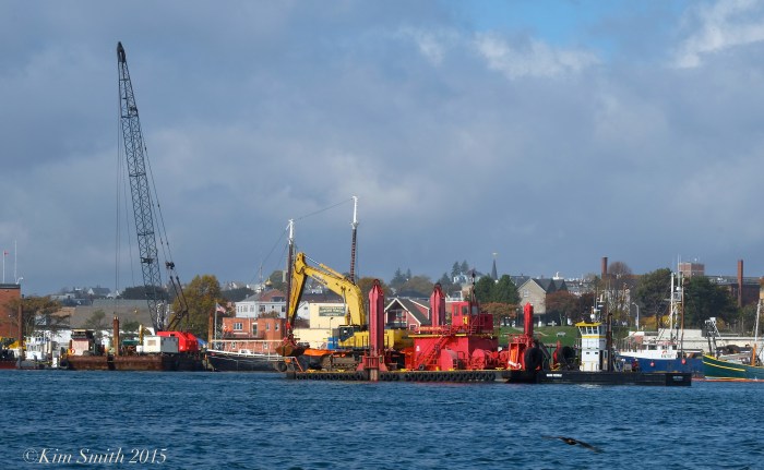 Gloucester Harbor ©Kim Smith 2015