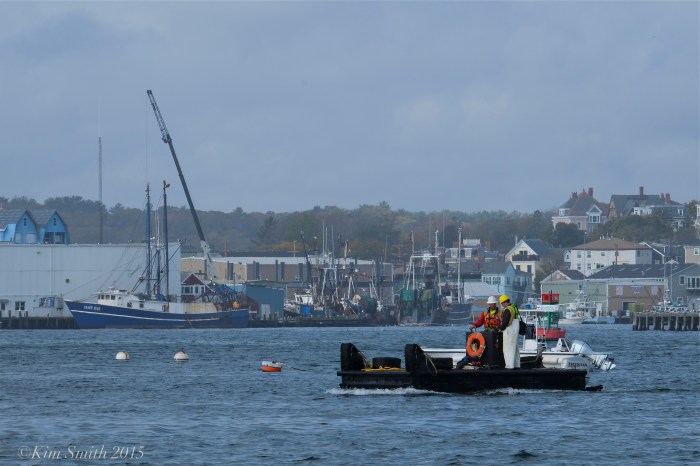 gloucester harbor ©kim smith 2015JPG