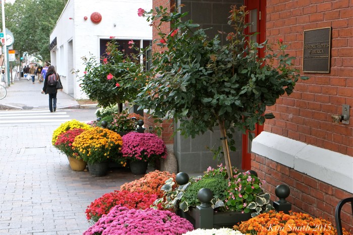 Kendall Hotel -3 ©Kim Smith 2015