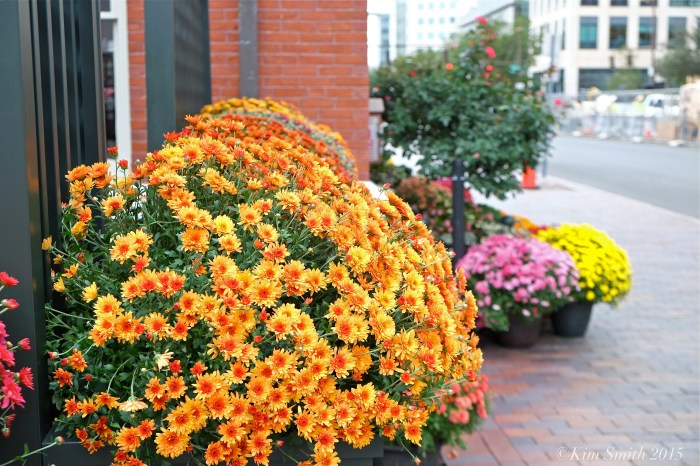 Kendall Hotel -4 ©Kim Smith 2015.jpg