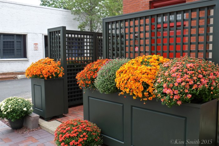 Kendall Hotel -6 ©Kim Smith 2015