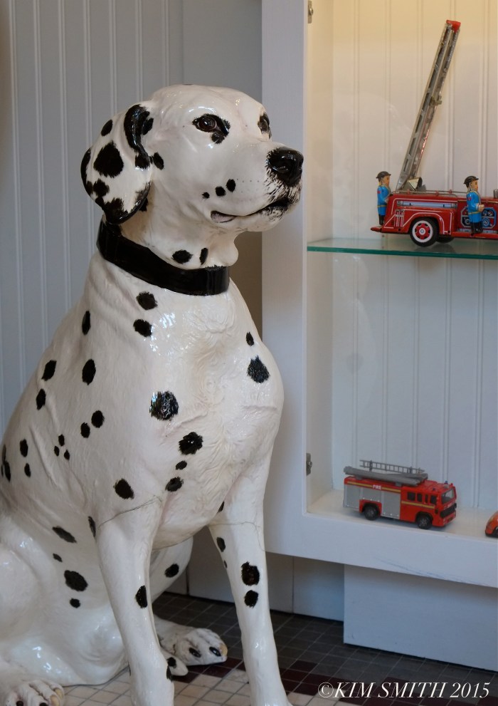 Kendall Hotel Dalmation -2 ©Kim Smith 2015.jpg