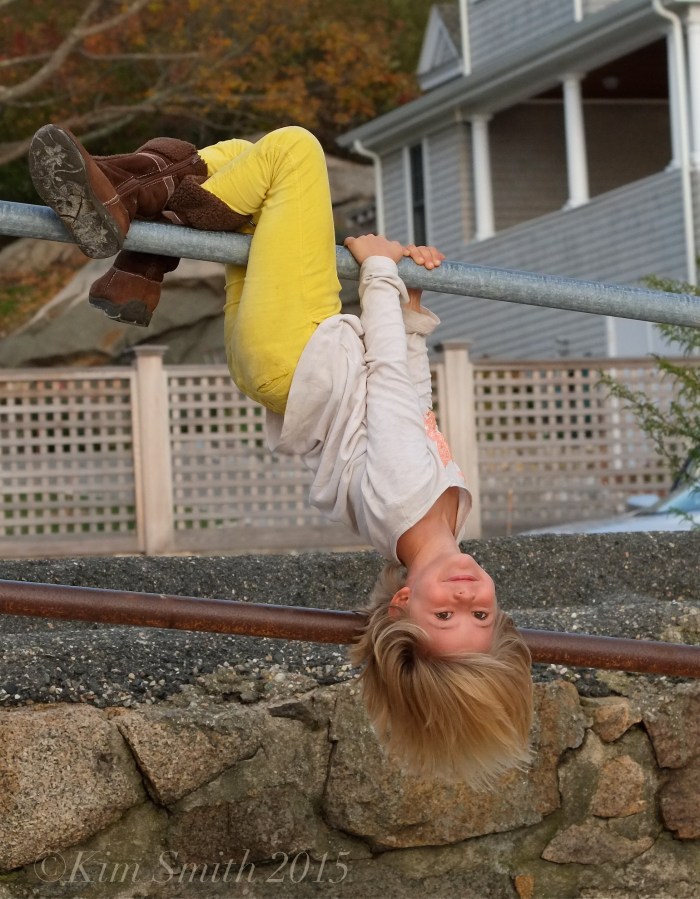 Meadow ©Kim Smith 2015 copy