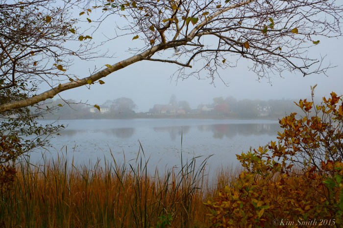 Niles Pond Foggy October morning -2 ©Kim Smith 2015