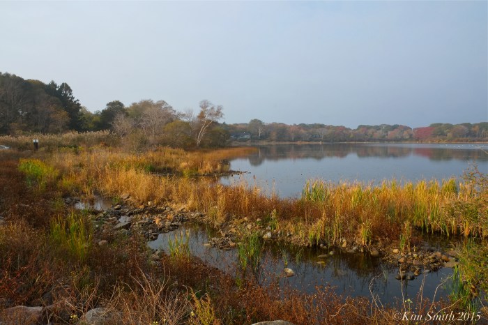 Niles Pond Foggy October morning ©Kim Smith 2015