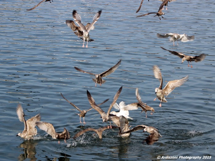 October 22, 2015 something is good