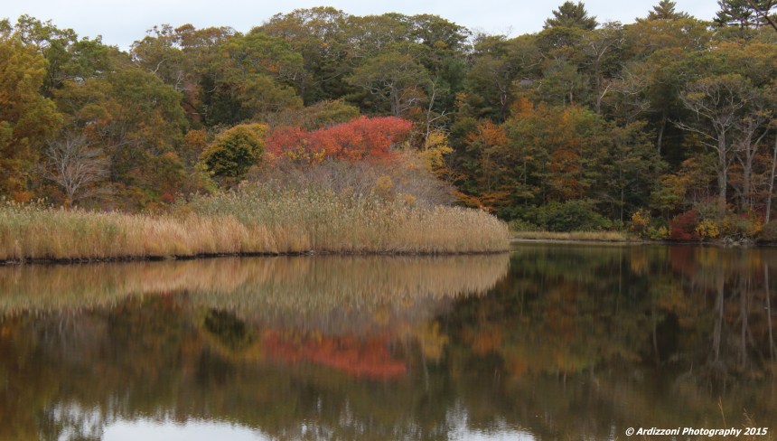 October 24, 2015 Clark Pond