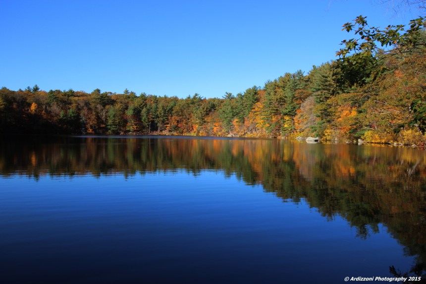 October 26, 2015 Buswell Pond in October