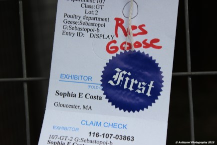 October 4, 2015 first prize winner