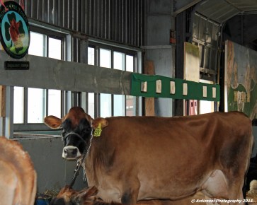 October 4, 2015 Smile