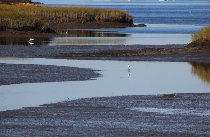 October 7, 2015 Litter River as the tide comes in