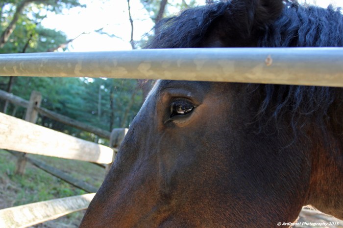 October 7, 2015 looking right at me