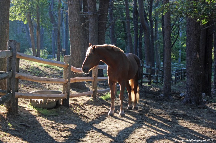 October 7, 2015 so pretty