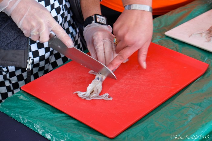 Rockport Harvestfest ©Kim Smith 2015