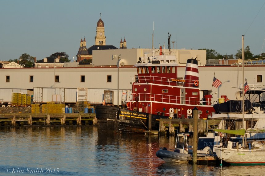 Roderick McAllister Tugboat ©Kim Smith 2015