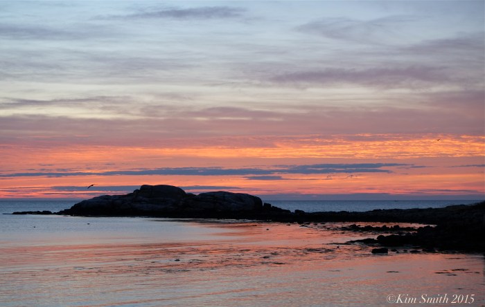 Brace Cove Rock Sunrise Gloucester ©Kim Smith 2015